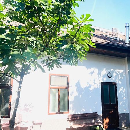 Jokai Apartman Komárno Екстериор снимка